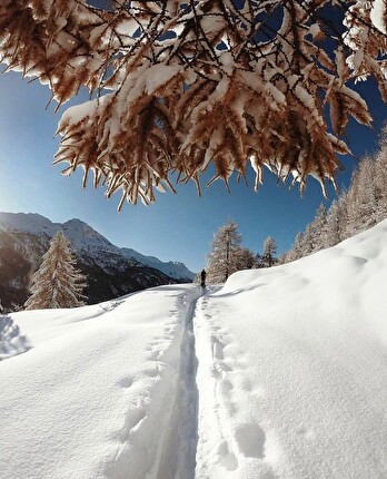 SkiAlp’Xperience 2026 - Dal 10 gennaio al 18 aprile 2026 si terrà la sesta edizione consecutiva di SkiAlp’Xperience