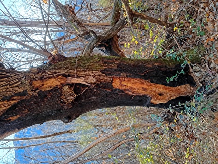 Vandea, Ivo Ferrari - Nei dintorni di Vandea