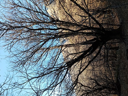 Vandea, Ivo Ferrari - Nei dintorni di Vandea