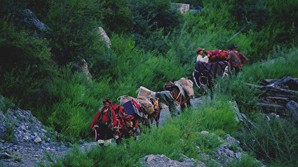 Cortomontagna, la premiazione della 11° edizione sabato a Tolmezzo