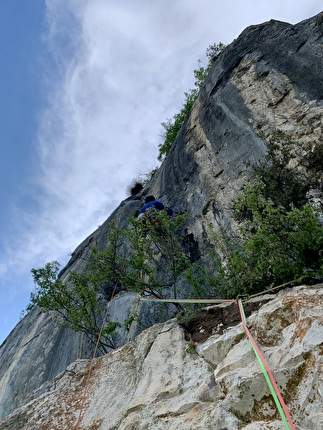 Parete del Covelo, Valle del Sarca, Nicola Cont, Filippo Michelon - L'apertura del quarto tiro di 'Pipì e Cocò' alla parete del Covelo in Valle del Sarca (Nicola Cont, Filippo Michelon 11-17/05/2025) Parete del Covelo, Valle del Sarca, Nicola Cont, Filippo Michelon - L'apertura del quarto tiro di 'Pipì e Cocò' alla parete del Covelo in Valle del Sarca (Nicola Cont, Filippo Michelon 11-17/05/2025)