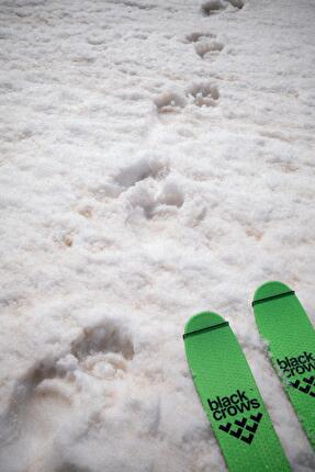 Tetnuldi, Georgia, Elisa Bessega, Enrico Mosetti - Monte Tetnuldi (4858m) in Georgia: tracce d'orso a meno di 100 metri dalla tenda