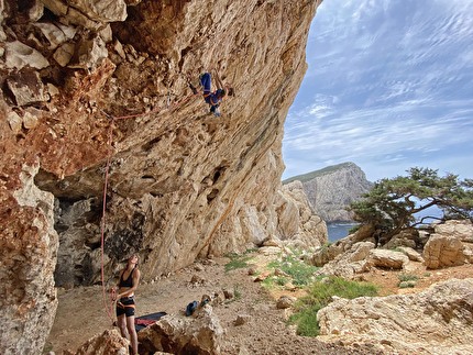 Arrampicata in Sardegna - La sicurezza degli spit delle vie d'arrampicata in ambiente marino rimane un tema importantissimo, non solo nelle falesie e le vie lunghe della Sardegna e in quelle affacciate sul Mar Mediterraneo, ma anche altrove. Nella foto: Federica Mingolla su una via richiodata recentemente a Casarotto, Capo Caccia (Alghero), una delle falesie più sensibili alla corrosione Arrampicata in Sardegna - La sicurezza degli spit delle vie d'arrampicata in ambiente marino rimane un tema importantissimo, non solo nelle falesie e le vie lunghe della Sardegna e in quelle affacciate sul Mar Mediterraneo, ma anche altrove. Nella foto: Federica Mingolla su una via richiodata recentemente a Casarotto, Capo Caccia (Alghero), una delle falesie più sensibili alla corrosione