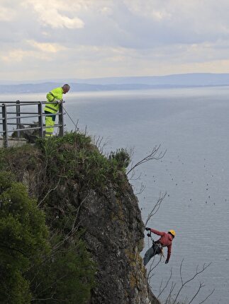 Costiera Trieste - Sabato 13 marzo 2026 nella storica falesia triestina Costiera si è tenuta una giornata di pulizia, organizzata dall'associazione Progetto Verticale Trieste.