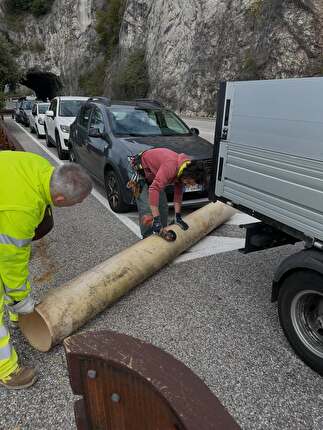 Costiera Trieste - Sabato 13 marzo 2026 nella storica falesia triestina Costiera si è tenuta una giornata di pulizia, organizzata dall'associazione Progetto Verticale Trieste.