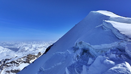 Piz Palü Winter Trilogy, Philipp Brugger, Lukas Waldner  - The first Piz Palü Winter Trilogy (Philipp Brugger, Lukas Waldner 08/03/2026)