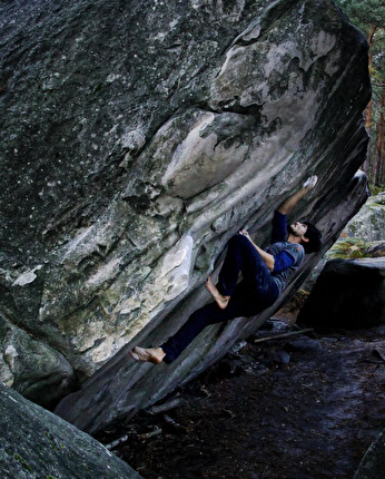 Charles Albert frees Charlatan (9A) at Fontainebleau
