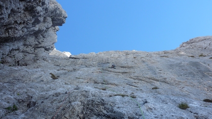 Presolana - Il colpo di coda (7a+, 160m, Stefano Codazzi, Daniele Natali 22/09/2012 ), Presolana: Daniele naviga in apertura nel mare di roccia L1