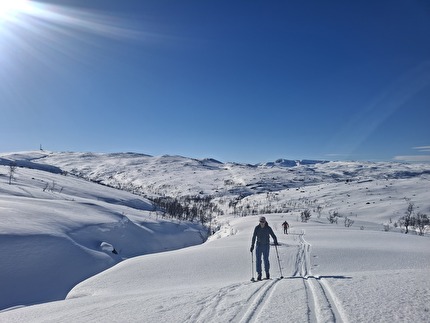 Scialpinismo Narvik Nordland Norvegia - Scialpinismo attorno a Narvik nel Nordland in Norvegia: Nevertind (1420m)