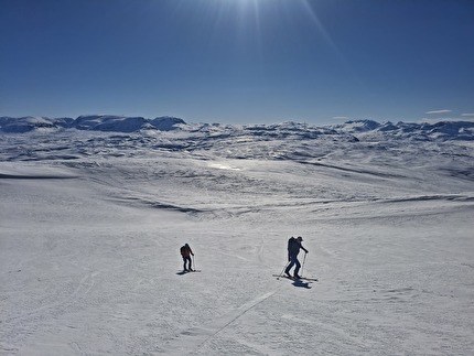 Scialpinismo Narvik Nordland Norvegia - Scialpinismo attorno a Narvik nel Nordland in Norvegia: Nevertind (1420m)