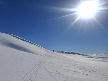 Scialpinismo Narvik Nordland Norvegia - Scialpinismo attorno a Narvik nel Nordland in Norvegia: Nevertind (1420m)