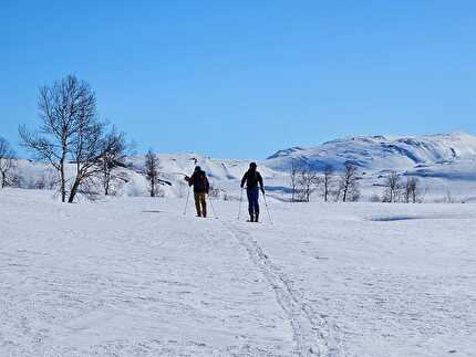 Scialpinismo Narvik Nordland Norvegia - Scialpinismo attorno a Narvik nel Nordland in Norvegia: Nevertind (1420m)