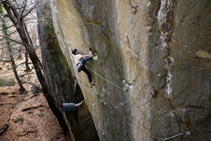 Video: Jacopo Larcher climbing Bon Voyage at Annot in France
