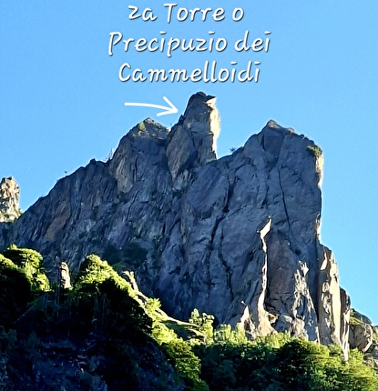Pinnacolo di Maslana, Valbondione, Cristina Oldrati, Matteo Rivadossi - Il versante Sud-Ovest del Pinnacolo di Maslana, Valbondione (Cristina Oldrati, Matteo Rivadossi, estate 2026)