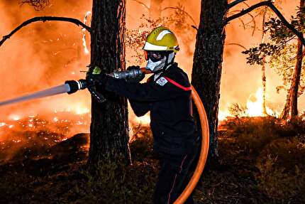Fontainebleau in fiamme: vasti incendi stanno divorando la foresta.