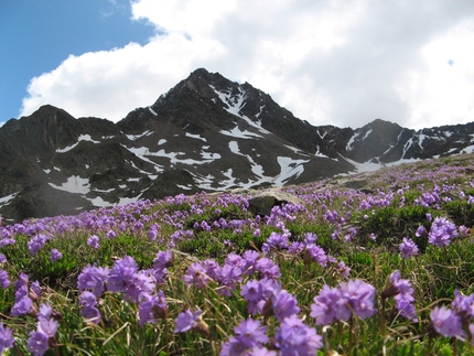 Corno dei Tre Signori in Alta Valtellina