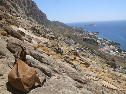 Kalymnos and the 2012 Festival video