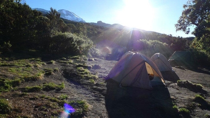 Kilimangiaro - Machame Camp 3100m
