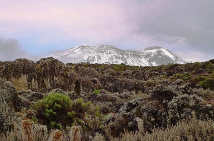 Kilimangiaro - Terzo giorno. La salita verso Lava Tower