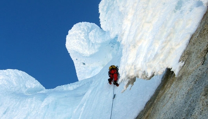 Cerro Torre - Sui funghi del Cerro