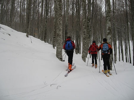 Alpago - Scialpinismo in Alpago: neella foresta di faggi