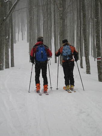 Alpago - Scialpinismo in Alpago: nella foresta di faggi