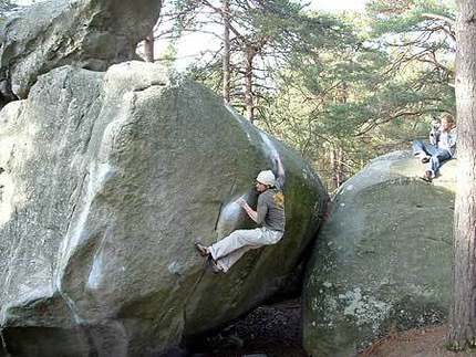 Fontainebleau: un appello a tutti gli amici della foresta