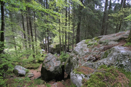 Valle di Daone - Bouldering in Valle di Daone