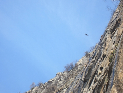 Brothers in Arms - Parete di Osogna (Ticino, Svizzera) - La parete