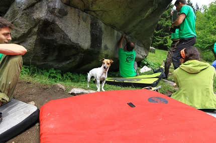 Scurla Plock, Valle di Daone - 08-09/06/2013: Scurla Plock, il raduno boulder in Valle di Daone