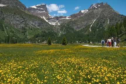 Esplorando l’Ossola - esplorazione sul serpentino della Rossa - Crampiolo, Alpe Devero