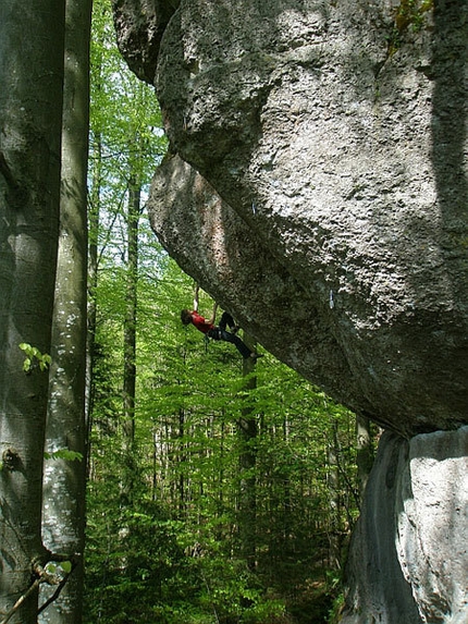 Adam Ondra - Adam Ondra repeating Action Direct 9a, Frankenjura, Germany