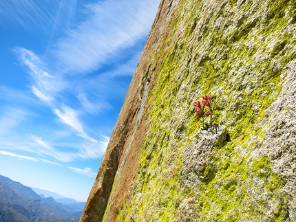 The Needles, California - The colorfull needles