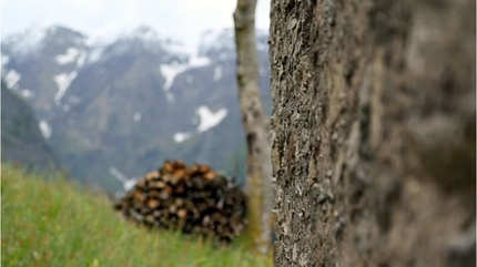 Baitax e il ritmo della natura