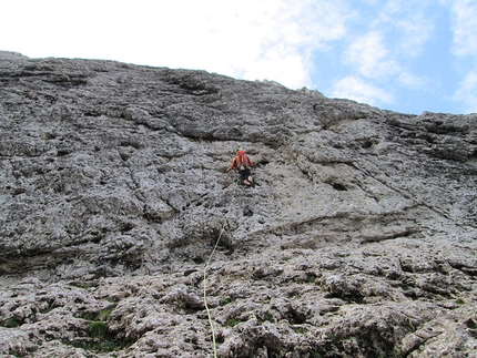 Via Cappellari - Timillero parete Nord Sass d'Ortiga (Pale di San Martino) - I muri verticali della Cappellari - Timillaro