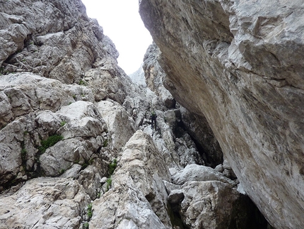 Cima dei Lastei - via Vittorio Chenet - Discesa dalla Cima dei Lastei, Pale San Martino.