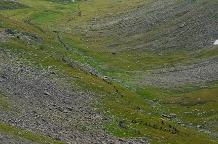 Tor des Geants 2013 - Serpentone di atleti nel vallone di Arp