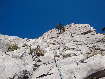 Le Lisce d'Arpe, Monte Alpi - Sul 13° tiro di Le Lisce d'Arpe, Monte Alpi