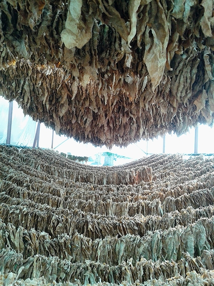 Bouldering at Prilep, Macedonia - Drying tobacco
