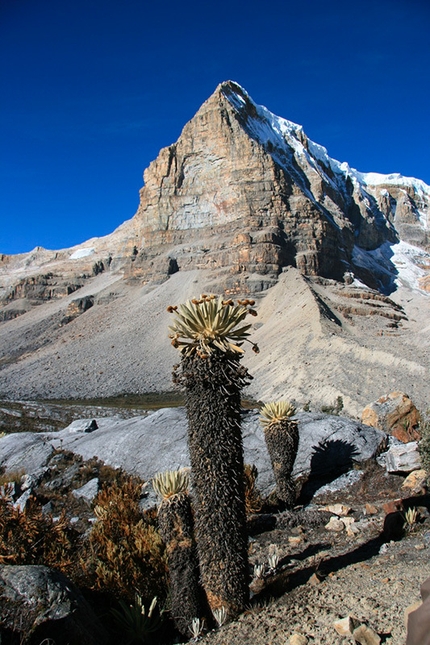 Ritacuba Blanco, Columbia - Tierra de Condores, (7a+, 800m, Helmut Gargitter, Simon Kehrer, Gonzalez Rubio, Ivan Calderon, 02/2010), Ritacuba Blanco (5350m), Cordillera del Cocuy, Columbia.