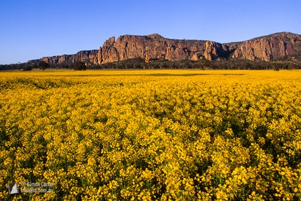 Mount Arapiles, Australia - Alba su Mount Arapiles, Victoria, Australia.