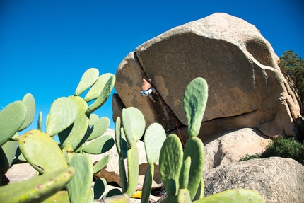 Sardinia Bloc 2013 - Discovering the bouldering potential at Galura during Sardinia Bloc 2013