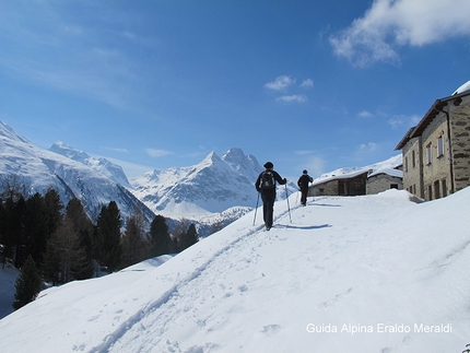 Ciaspe ad Arnoga e Val Viola, Alta Valtellina