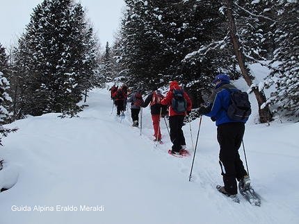 Val Viola, Alta Valtellina - Ciaspe ad Arnoga, Val Viola, Alta Valtellina