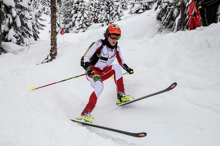 Pitturina Ski Race - Pitturina Ski Race 2014, Val Comelico