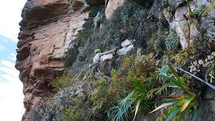 Akopan Tepui, Venezuela - Escalador Selvatico: Luca Giupponi si fa strada nella vegetazione per raggiungere la giungla, dodicesimo tiro.