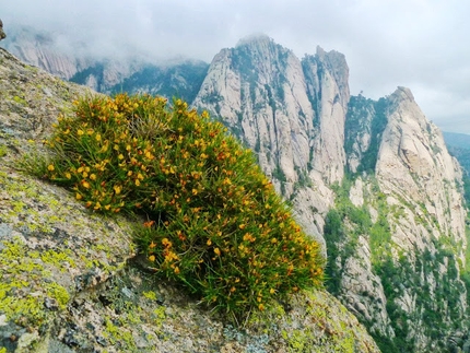Punta a Biciartula, Bavella, Corsica - Via Alexandra