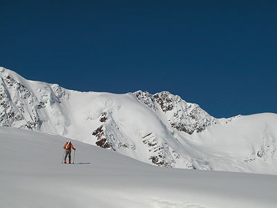 Cevedale: spring ski mountaineering - Crossing the glacier towards Pizzo Tresero