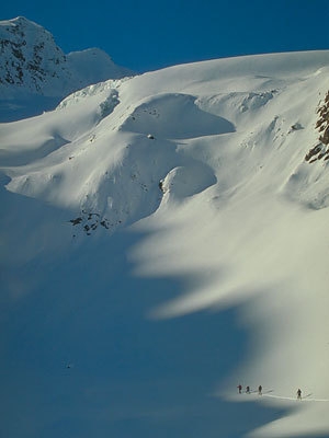 Cevedale: spring ski mountaineering - A group of ski mountaineers head towards Cima Venezia