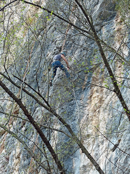 Sulfuria, Gola di Frasassi - Paolo Romagnoli nei lavori di chiodatura e pulizia